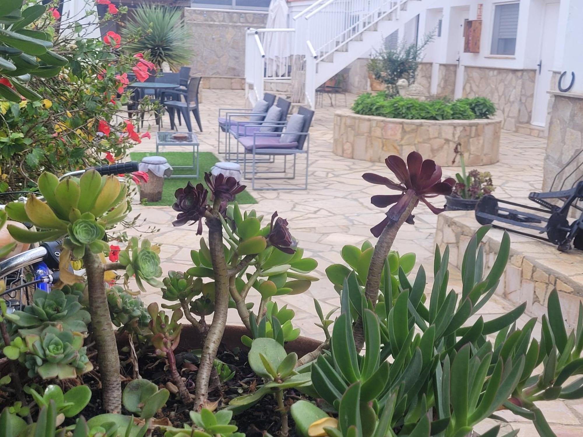 La Llar De Laura Guest House เอลโปเบลโนว เดล เดลตา ภายนอก รูปภาพ